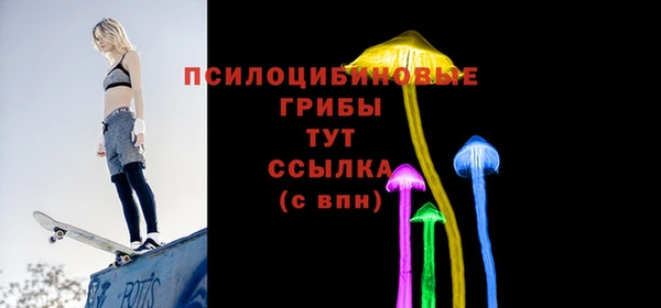 дмт Армянск