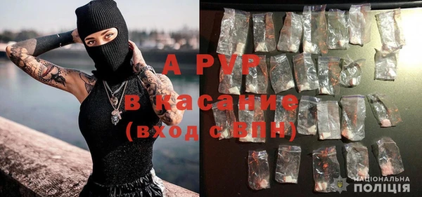 винт Арсеньев