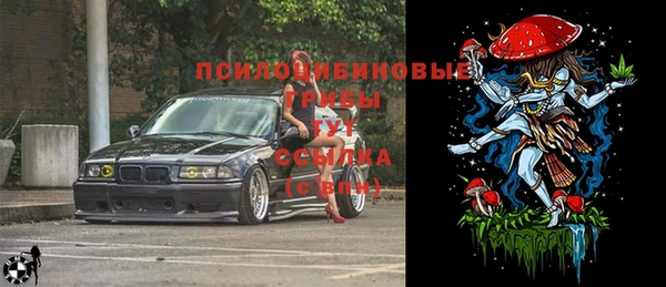 гидропоника Аркадак