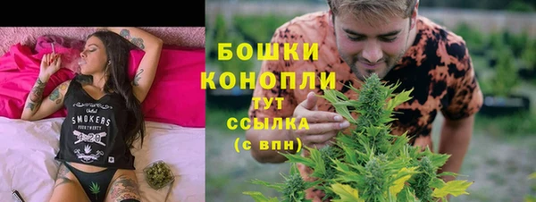 винт Арсеньев